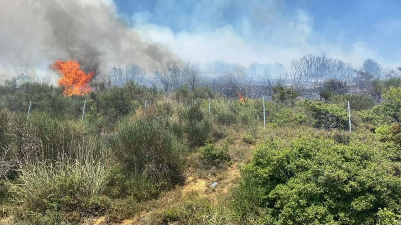 Tekirdağ’da makilik alanda yangın: Müdahale başladı