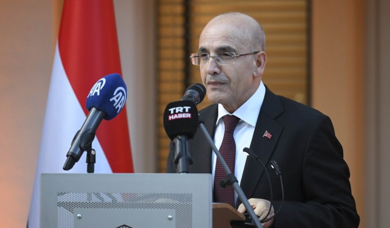 Mehmet Şimşek, Hollanda’da Gümrük Birliği’nin modernizasyonuna değindi